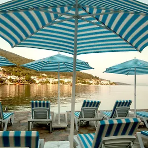 Zena Bodrum 2* Гюверджинлик